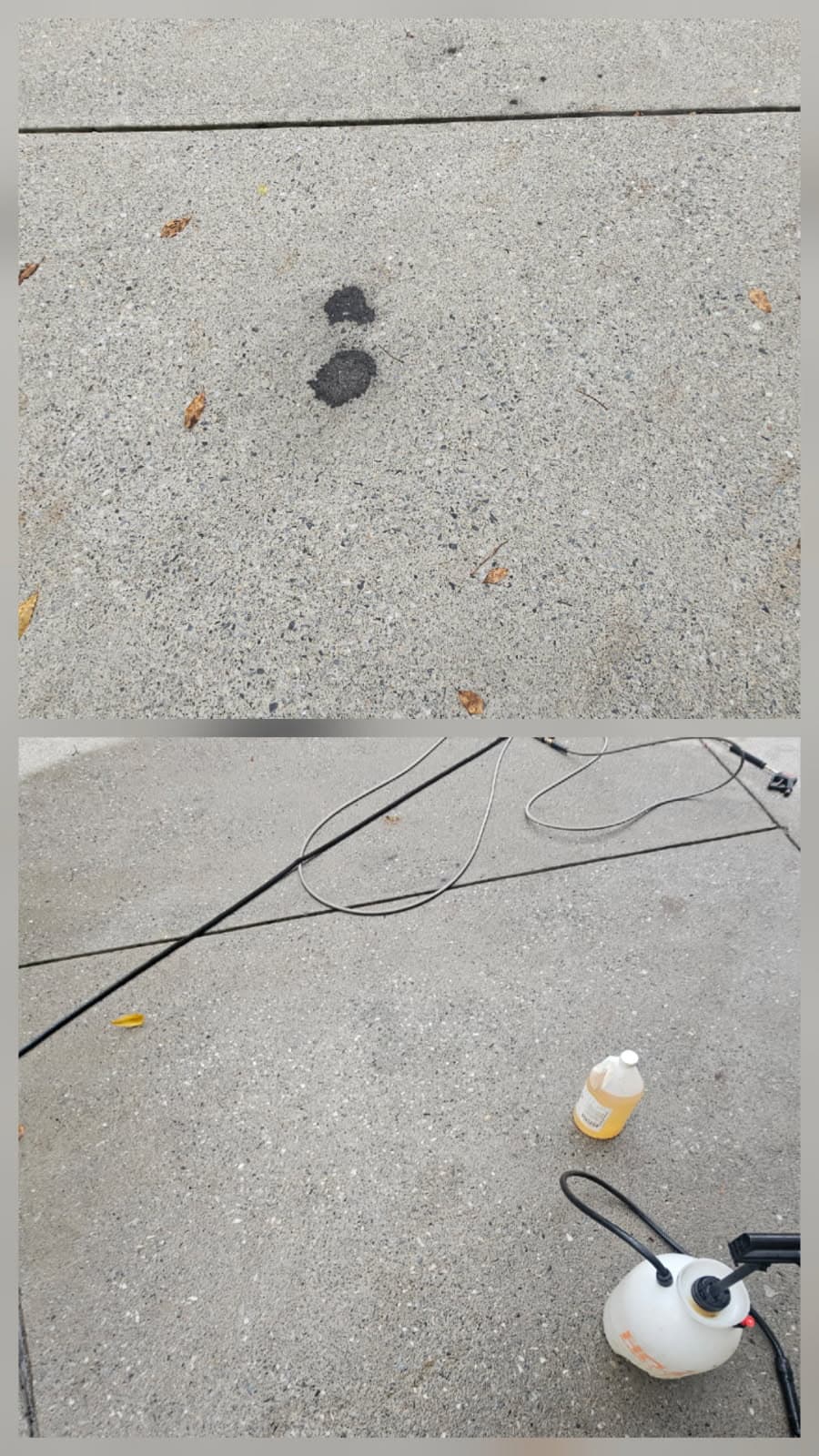 Project Oil Stain Removal Success with Jensen Precision Power Washing image