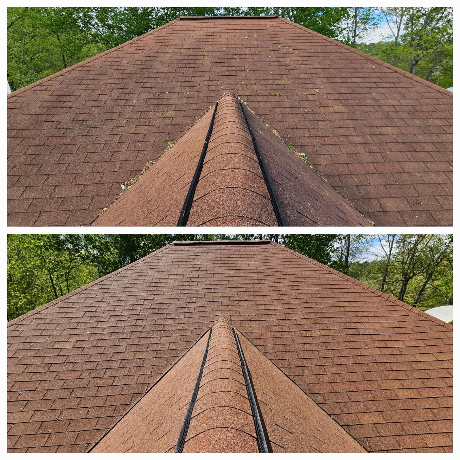 Revitalize Your Roof with Soft Washing Magic image